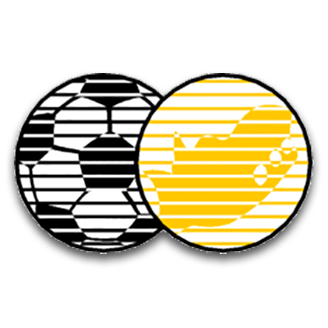 South Africa (National Football) logo