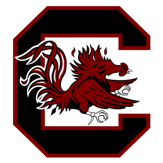 South Carolina Football logo