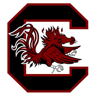South Carolina Football logo
