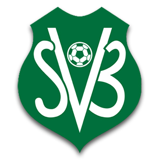 Suriname (National Football) logo