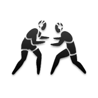 Wrestling logo