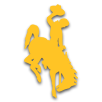 Wyoming Cowboys Basketball logo