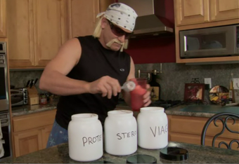 Official Hogan Knows Best Parody
