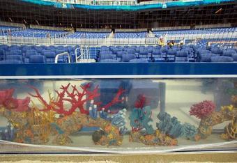 Marlins Park fish tanks removed for 2021 season