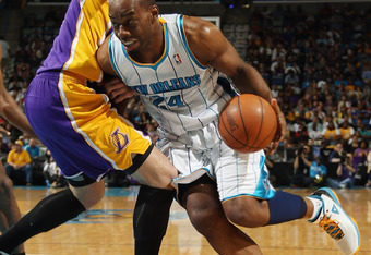 Reports: Charlotte Bobcats initiate 'Hornets' name-change process - Sports  Illustrated