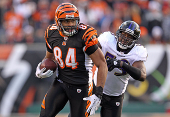 Cincinnati Bengals tight end Orson Charles loosens up during the NFL  football team's scheduled OTA, Tuesday, May 29, 2012, in Cincinnati. (AP  Photo/Al Behrman Stock Photo - Alamy