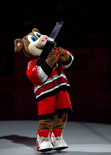 Lions, Tigers, and Bears; Oh My! Ranking Each NHL Team's Mascots