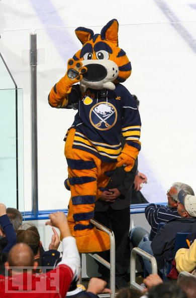 Lions, Tigers, and Bears; Oh My! Ranking Each NHL Team's Mascots