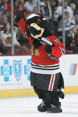 Lions, Tigers, and Bears; Oh My! Ranking Each NHL Team's Mascots ...