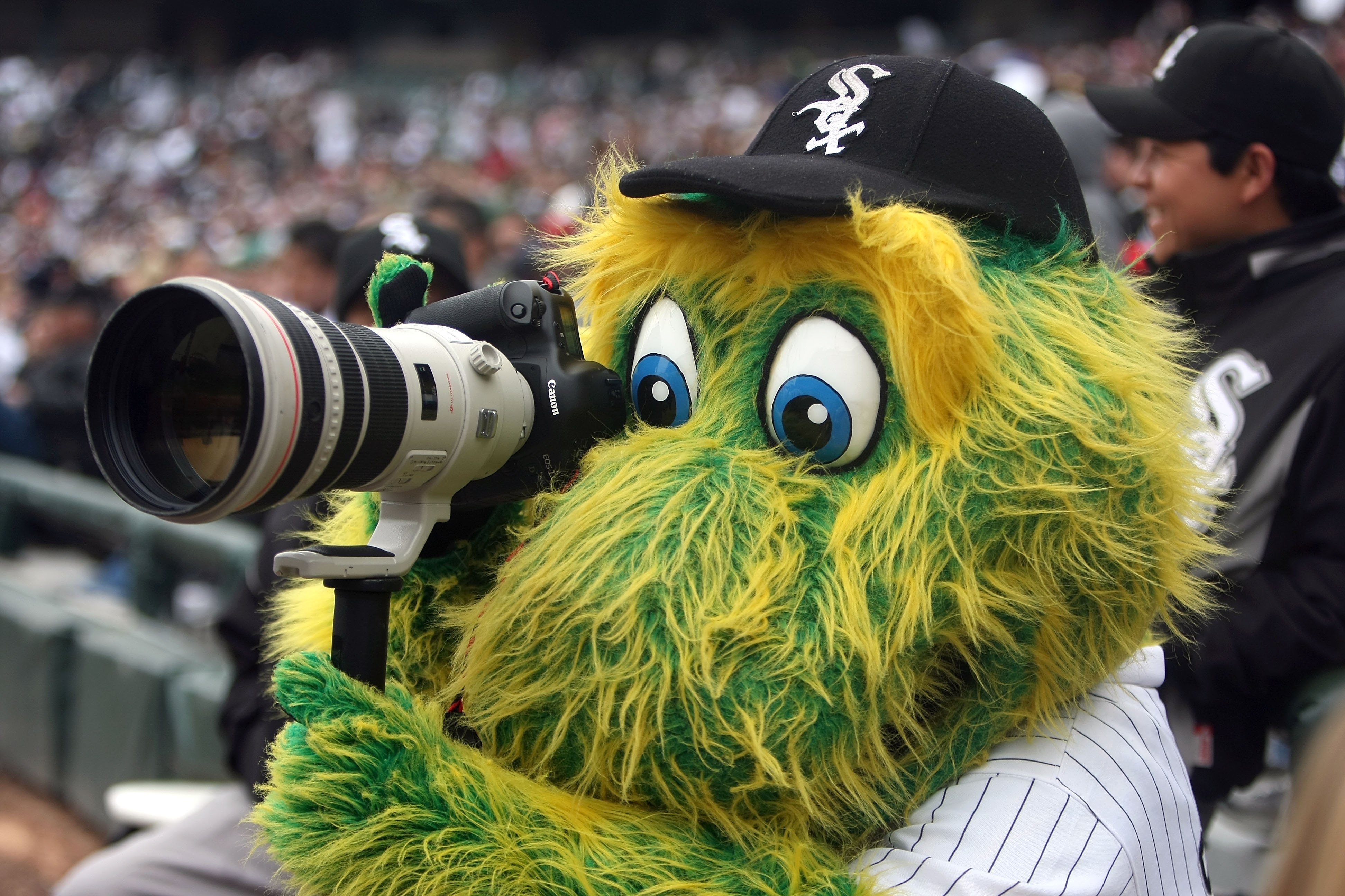 Southpaw!  White sox baseball, Baseball mascots, Mascot