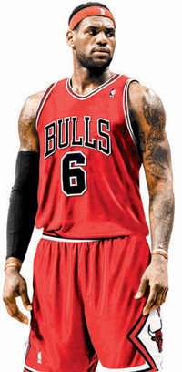 bulls james jersey