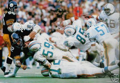 killer bees miami dolphins