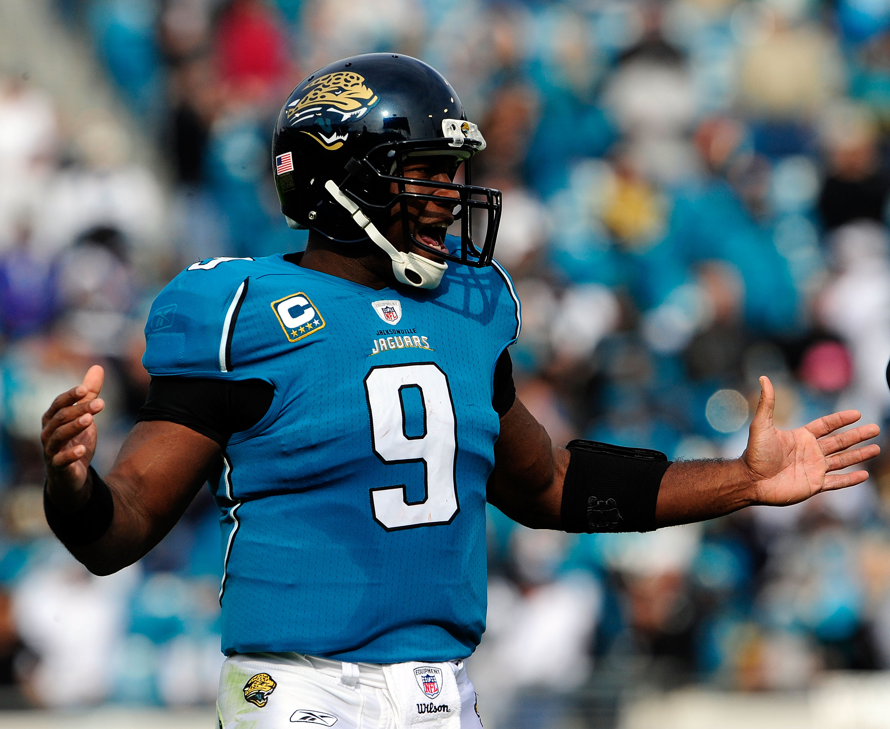 David Garrard of the Jacksonville Jaguars drops back to pass during News  Photo - Getty Images