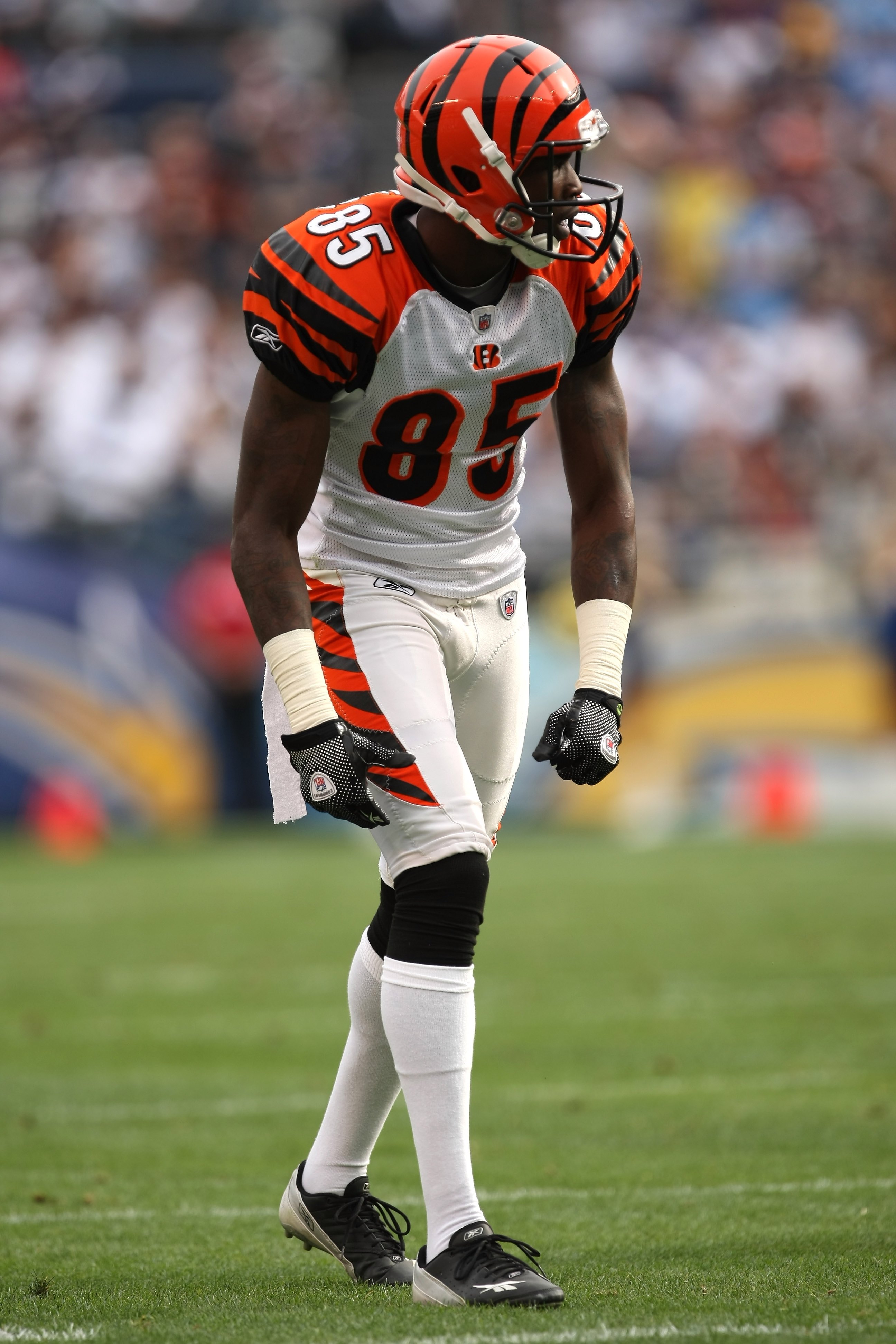 Terrell Owens and Chad Ochocinco: How They Rank Among NFL's Top WR