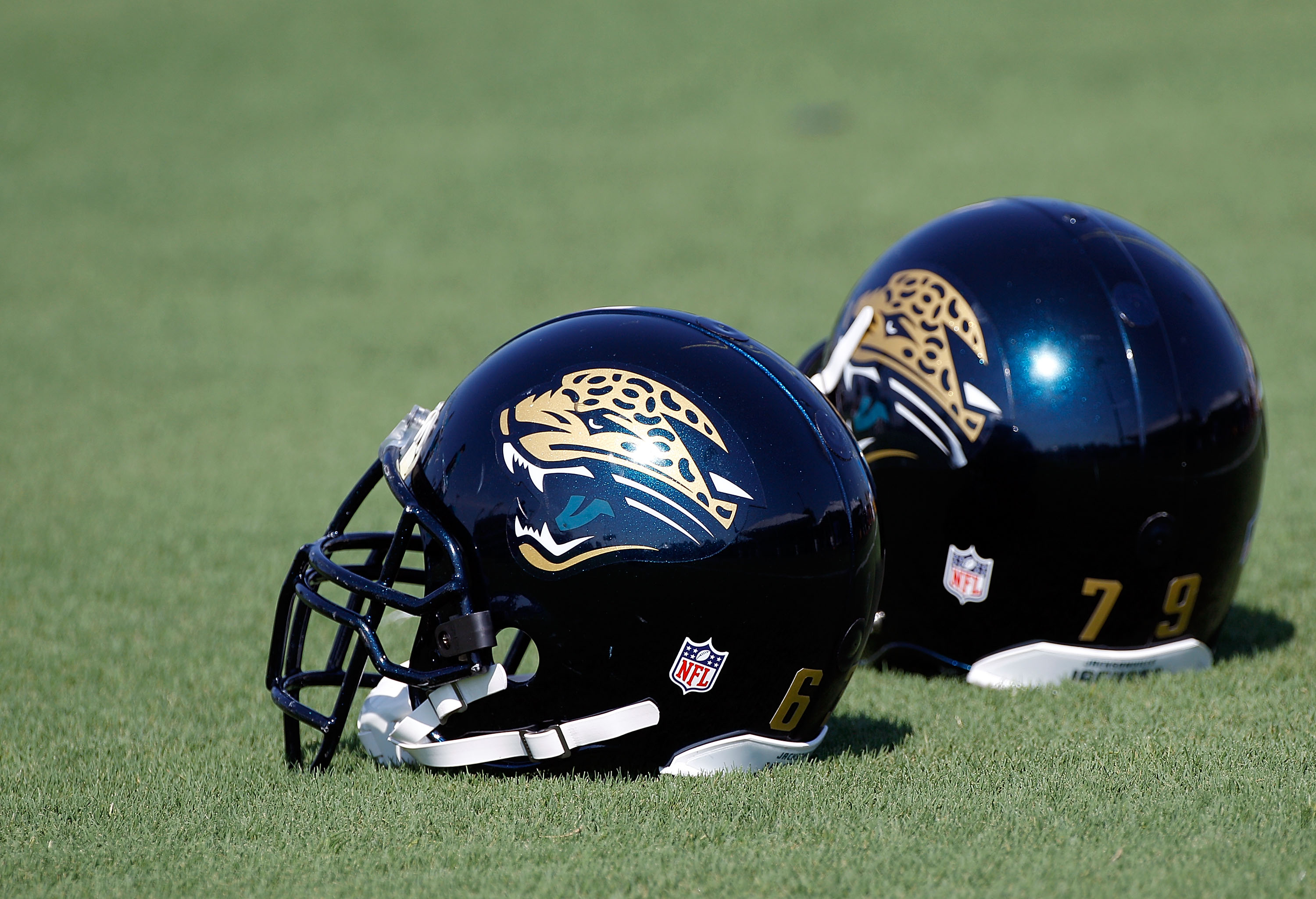 2010 Jacksonville Jaguars Printable Helmet Schedule