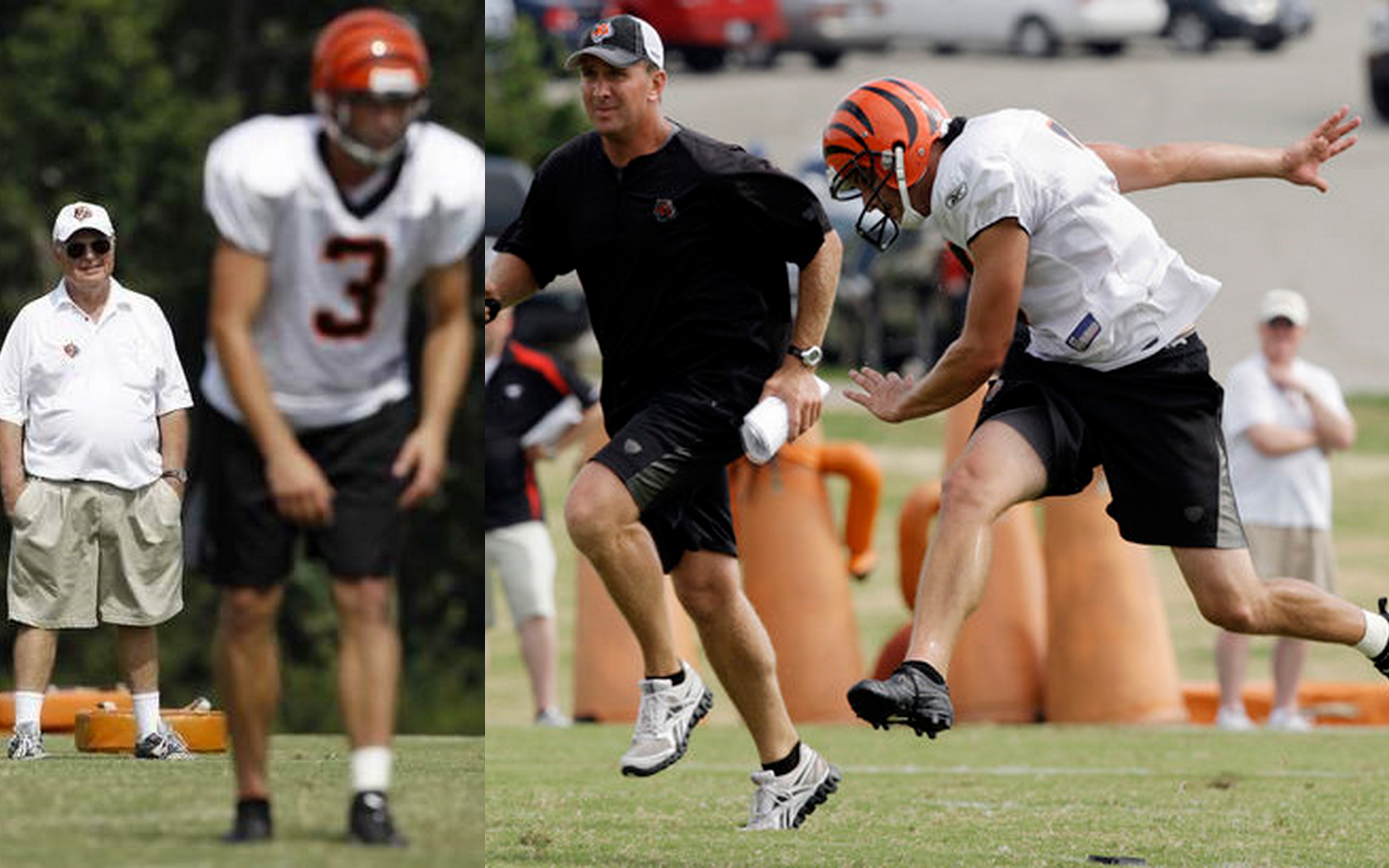 Cincinnati Bengals wide receiver Terrell Owens (81) in action during  football training camp during the NFL football team's practice, Thursday,  July 29, 2010, in Georgetown, Kentucky. (AP Photo/Al Behrman Stock Photo -  Alamy