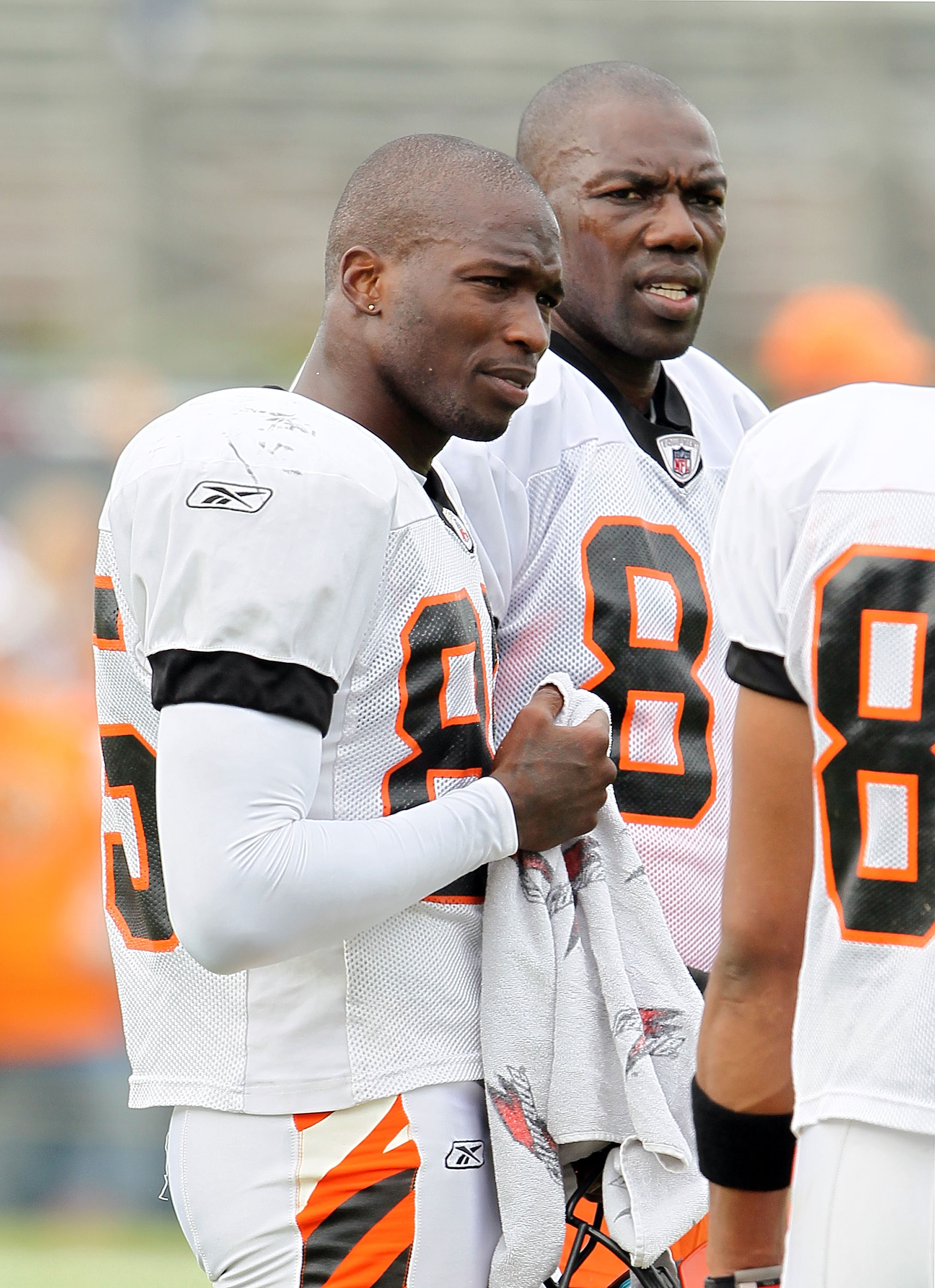 GEORGETOWN, KY - JULY 31:  Chad Ochocinco (left) #85 and Terrell Owens (right) #81 of the Cincinnati Bengals are pictured during the Bengals training camp at Georgetown College on July 31, 2010 in Georgetown, Kentucky.  (Photo by Andy Lyons/Getty Images)