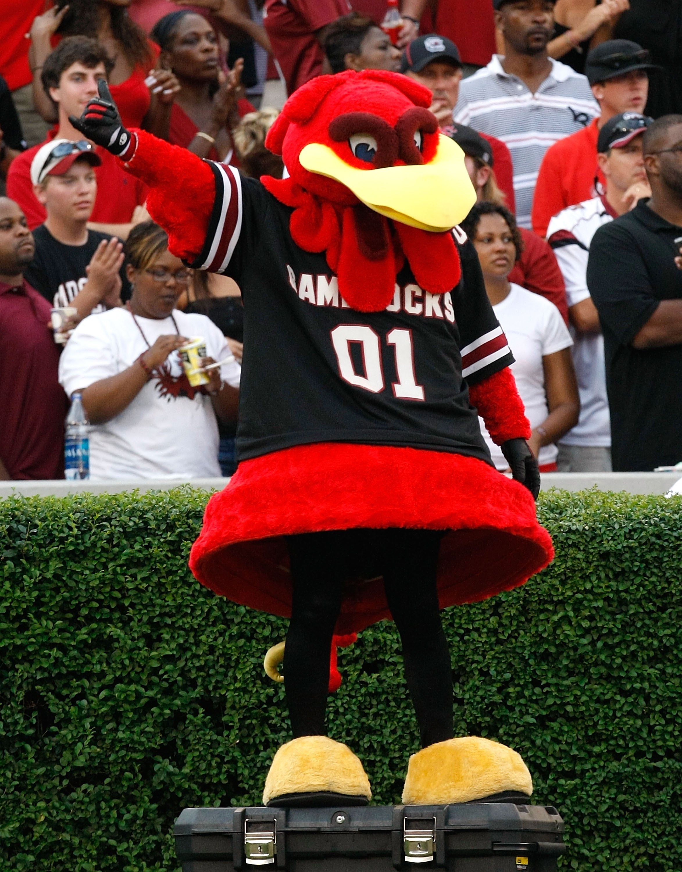 Represent!: Power Ranking The Mascots Of The SEC | Bleacher Report