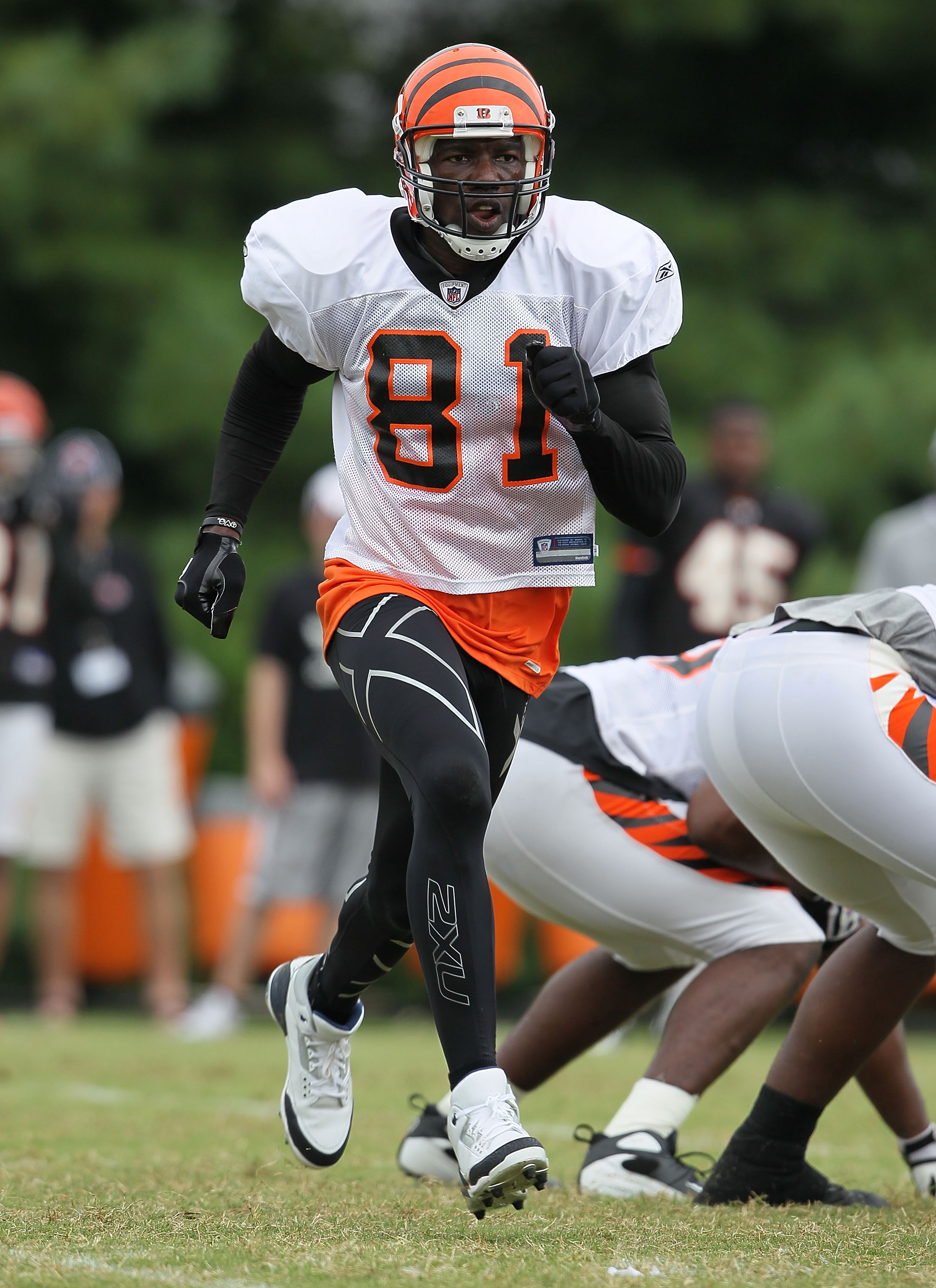 GEORGETOWN, KY - JULY 31:  Terrell Owens #81 of the Cincinnati Bengals is pictured during the Bengals training camp at Georgetown College on July 31, 2010 in Georgetown, Kentucky.  (Photo by Andy Lyons/Getty Images)