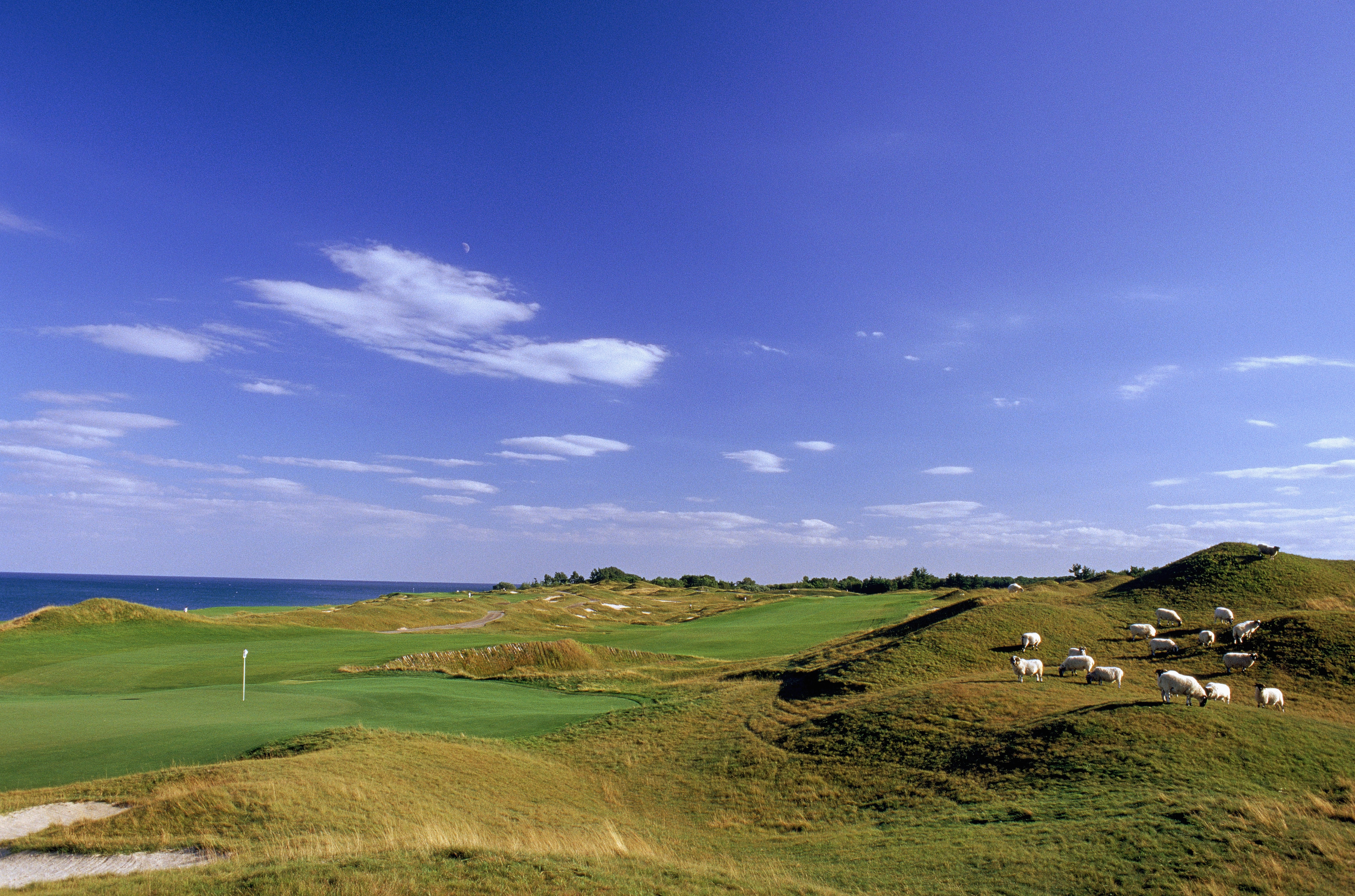 KOHLER, WI - SEPTEMBER 2:  General view of the par 5 11th hole at Whistling Straits Golf Course, site of the 2004 PGA Championship on September 2, 2003 in Kohler, Wisconsin.  Scottish Blackface sheep roam the rough terrain features along Lake Michigan.  (