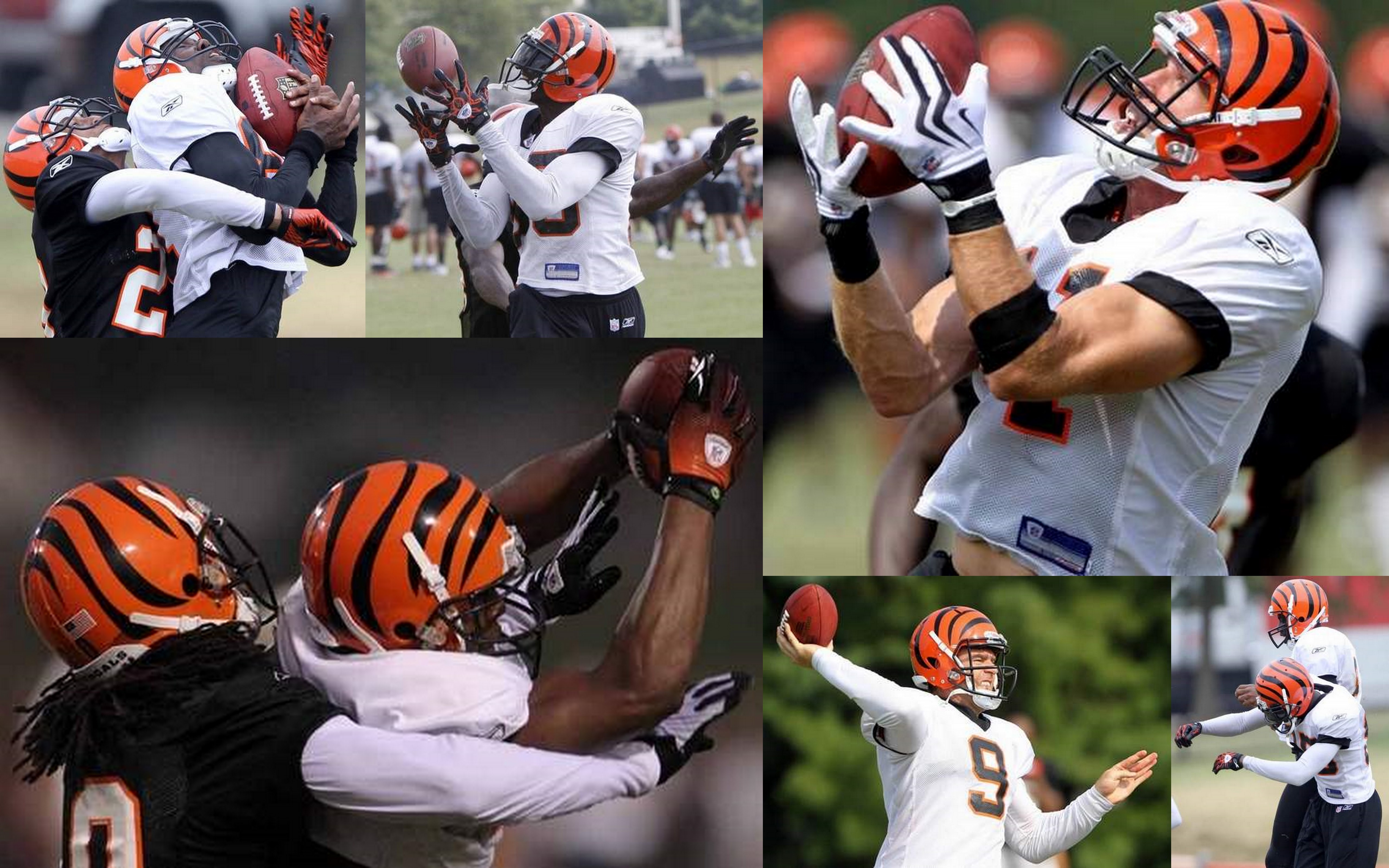 Cincinnati Bengals 2010 Training Camp: Five Topics (8/11)