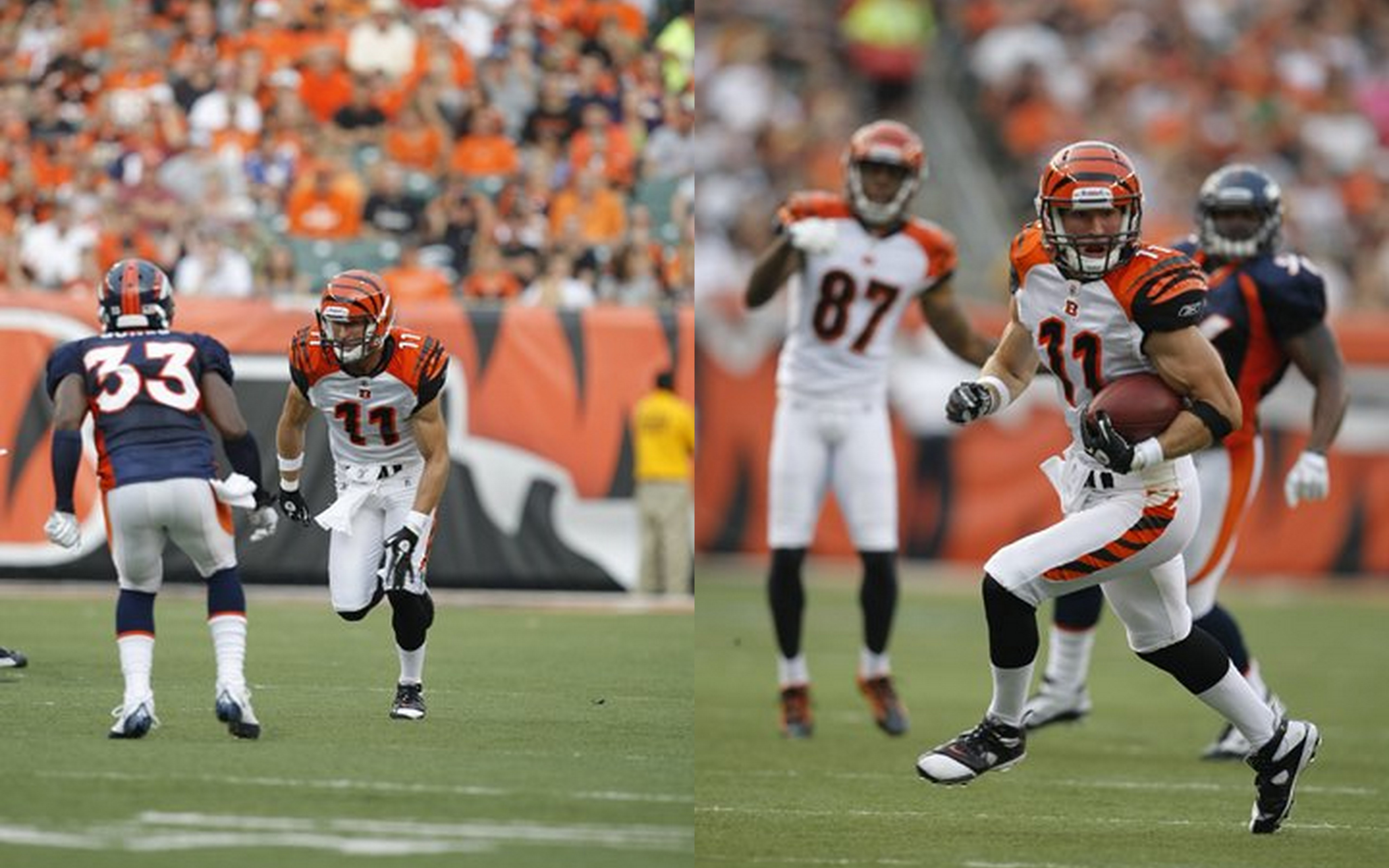 jordan shipley bengals