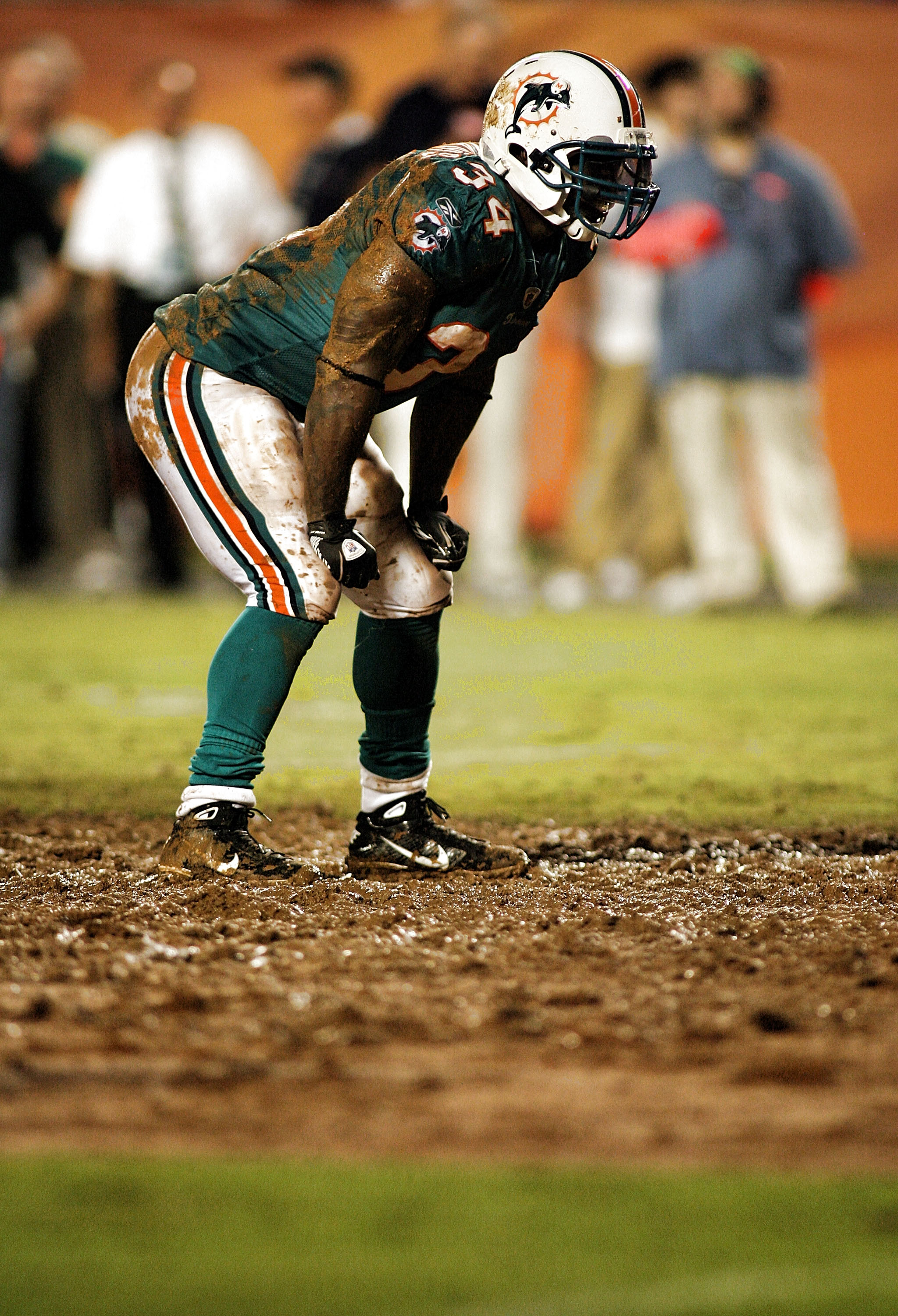 Photo: Miami Dolphins Joey Haynos and Chad Henne (7) react after