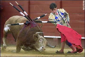 It's hard to beat an old school, striped bullfighting jersey. They're just  classy!! #retro #classy #oldschool #fullbore #bullfighter