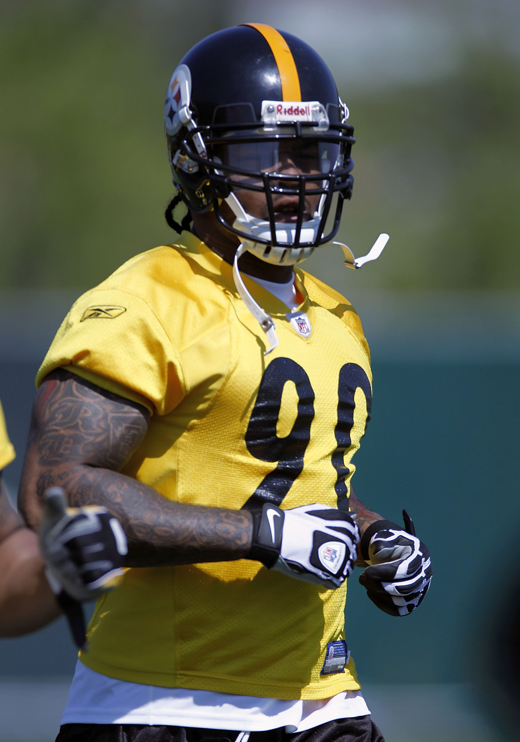 Pittsburgh Steelers linebacker Ziggy Hood (96) in action against