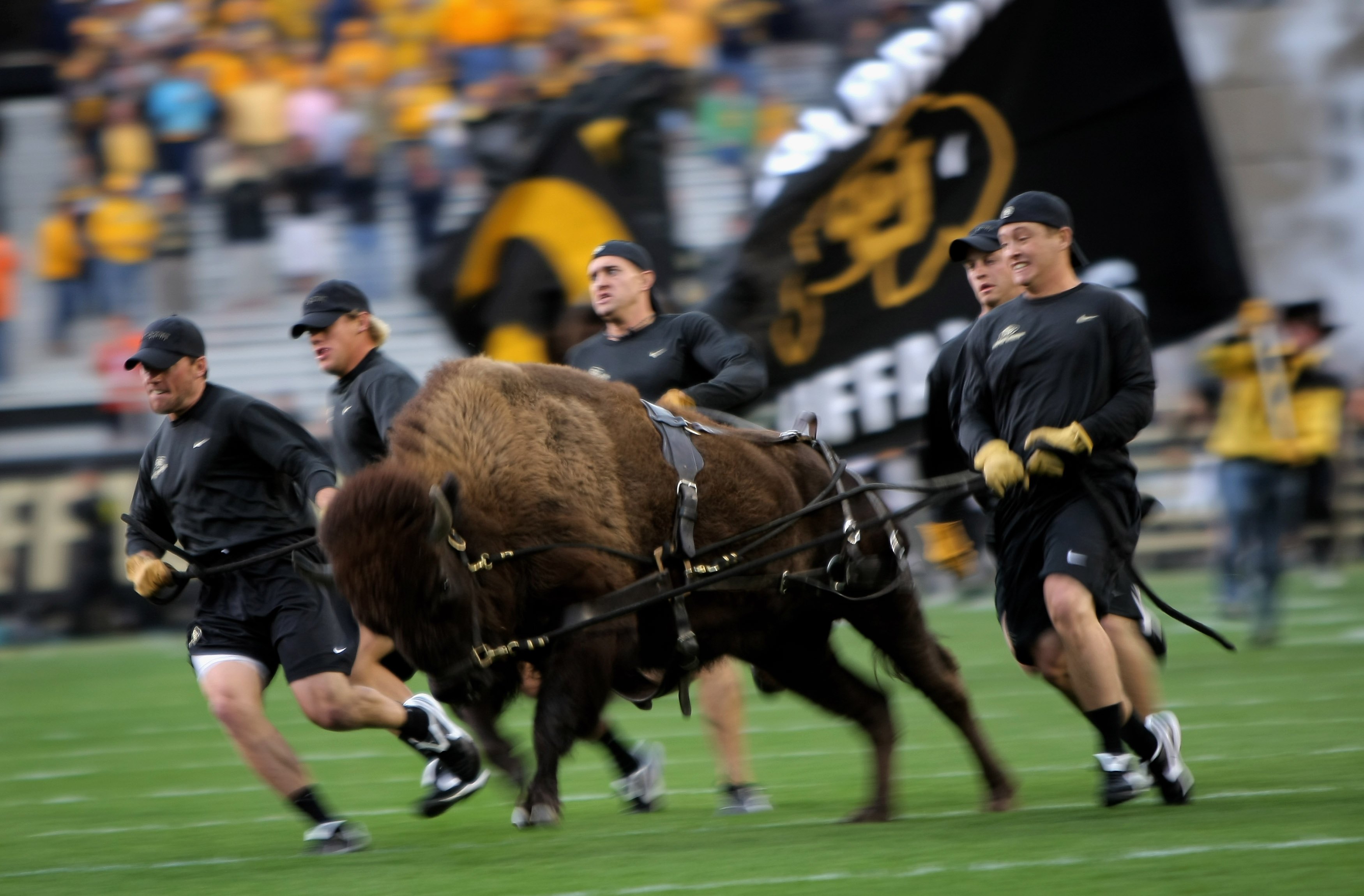 Buffaloes to face five ranked opponents in 2023 - The Ralphie Report