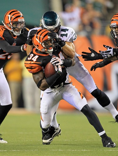 Cincinnati Bengals 2010: A Few Bright Spots In Season Full Of