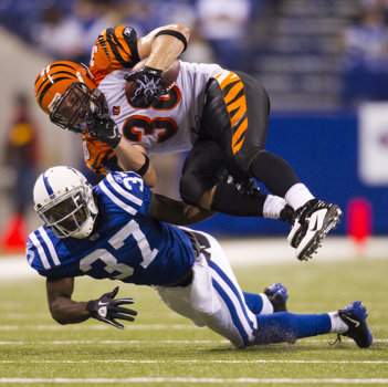 Cincinnati Bengals 2010: A Few Bright Spots In Season Full Of