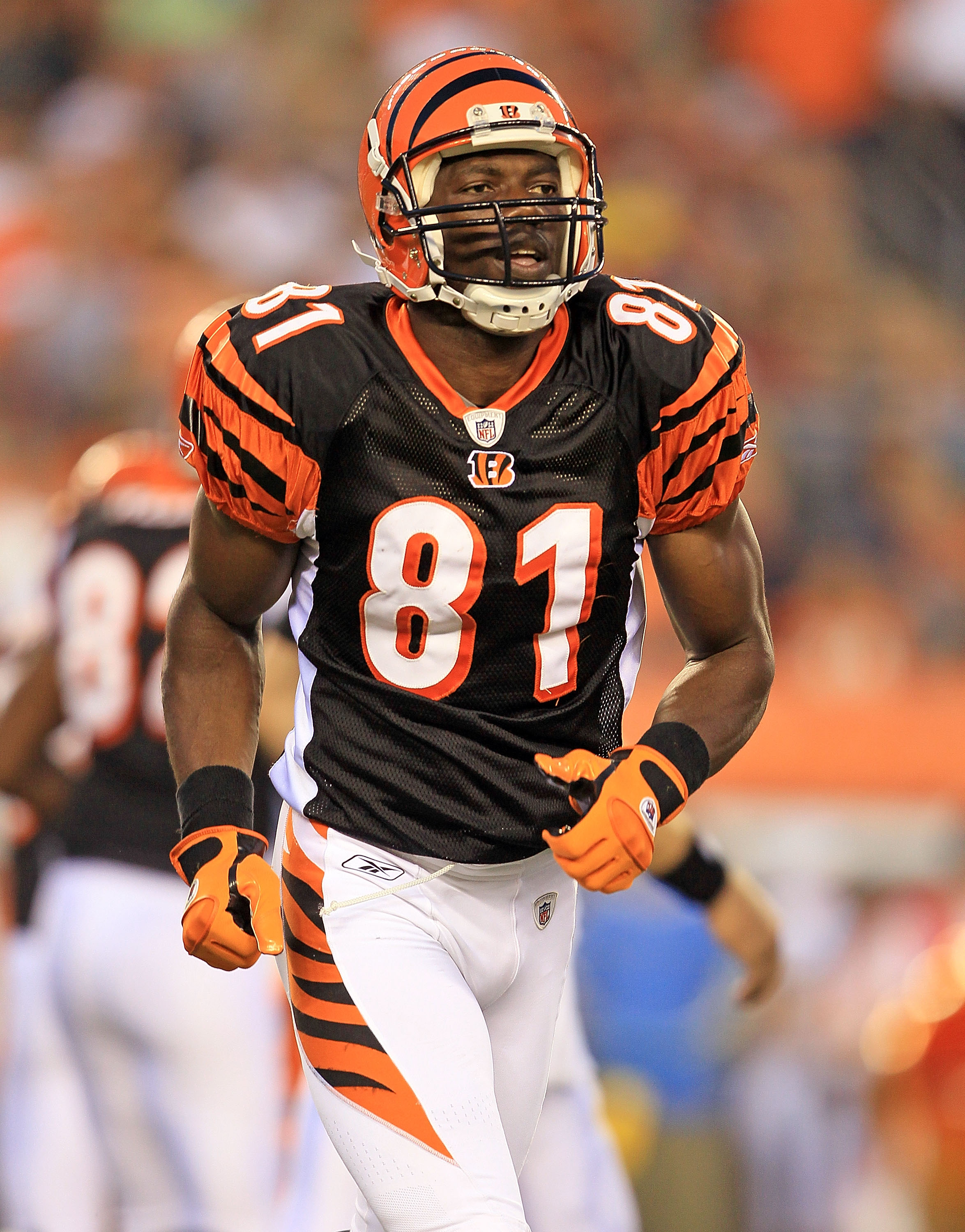 377 Cincinnati Bengals Terrell Owens Photos & High Res Pictures