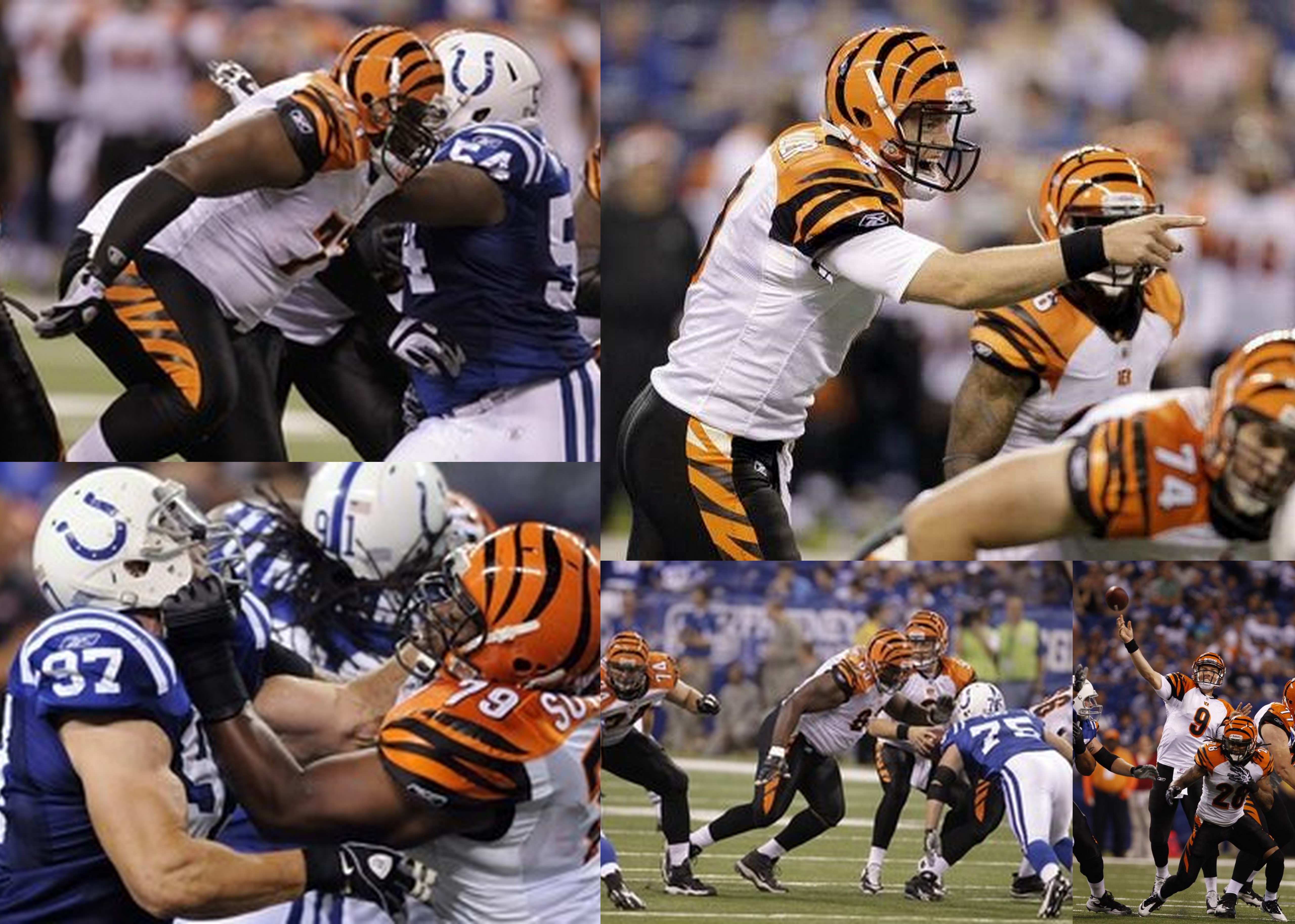 Cincinnati Bengals Vs Indianapolis Colts: Roster Cleanup