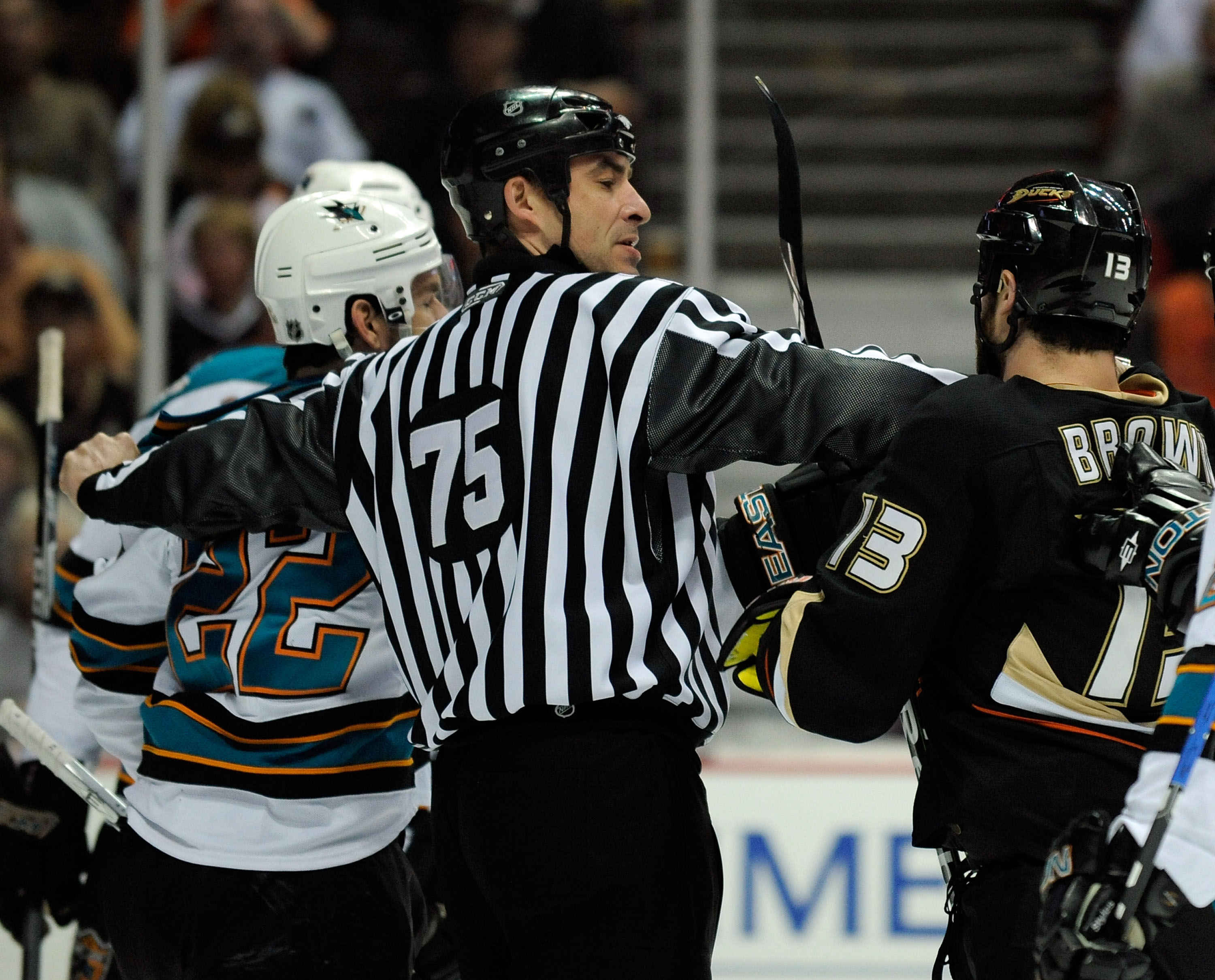 san jose sharks halloween jersey