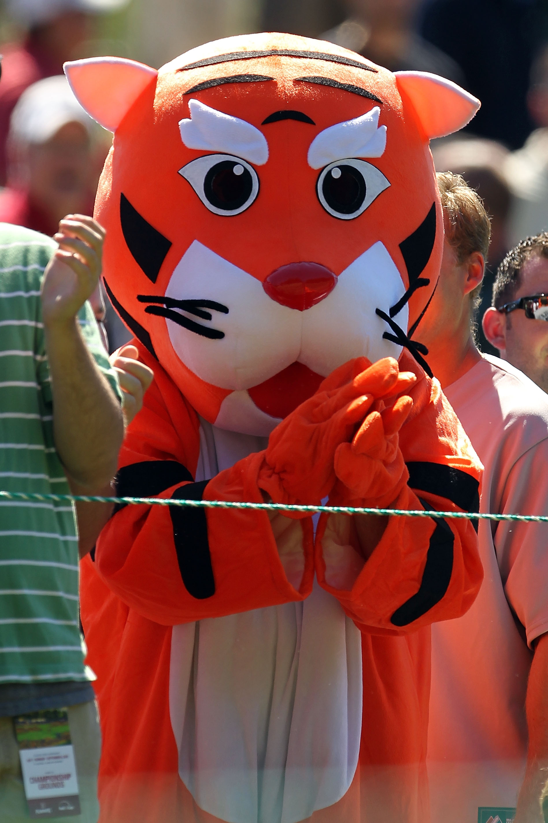 NORTON, MA - SEPTEMBER 06:  A spectator dresses in a tiger costume to watch Tiger Woods during the final round of the Deutsche Bank Championship at TPC Boston on September 6, 2010 in Norton, Massachusetts.  (Photo by Mike Ehrmann/Getty Images)