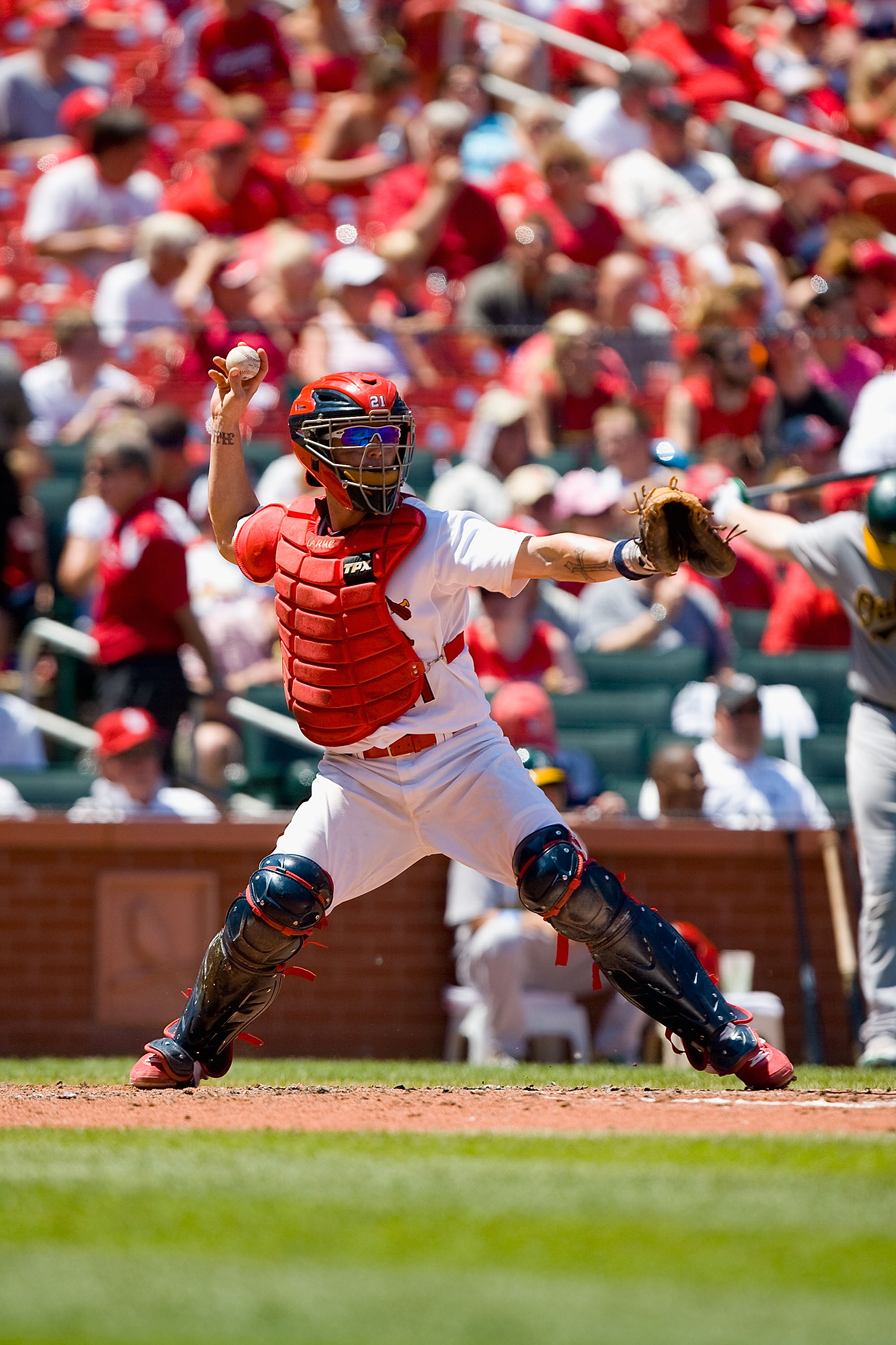 286 Cincinnati Reds Jason Larue Photos & High Res Pictures - Getty