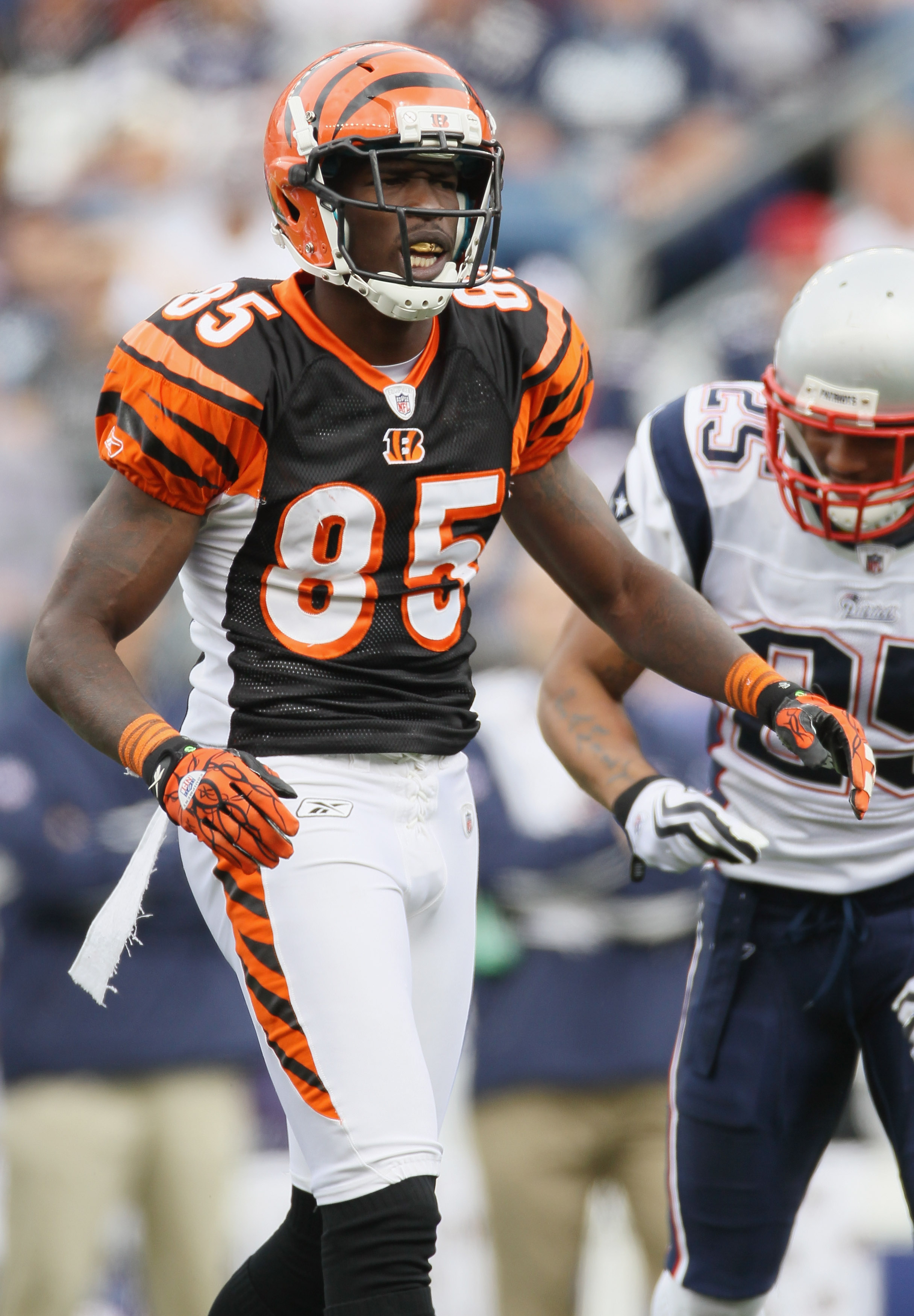 Chad Ochocinco Credits Randy Moss and Terrell Owens for Maintaining Sanity, News, Scores, Highlights, Stats, and Rumors