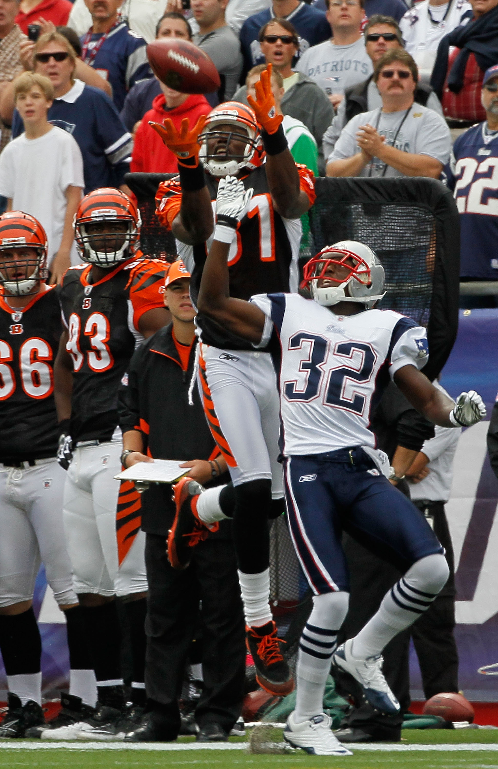 New England Patriots cornerback Leigh Bodden adjusted cornerback News  Photo - Getty Images