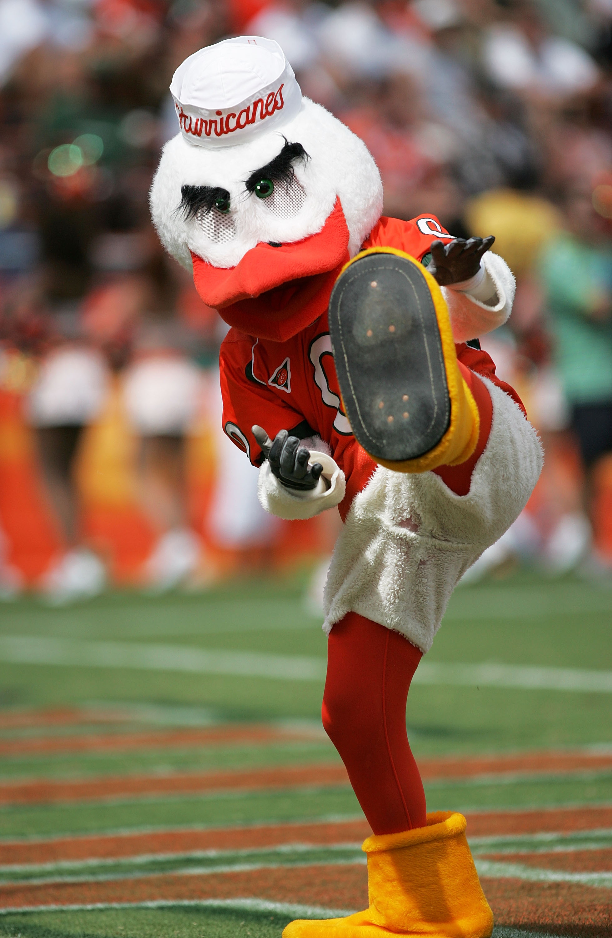 MIAMI - SEPTEMBER 24:  Sebastian the ibis cheers for his team as the Colorado Buffaloes take on the Miami Hurricanes in the Oranges Bowl on September 24, 2005 in Miami, Florida.  (Photo by Doug Benc/Getty Images)