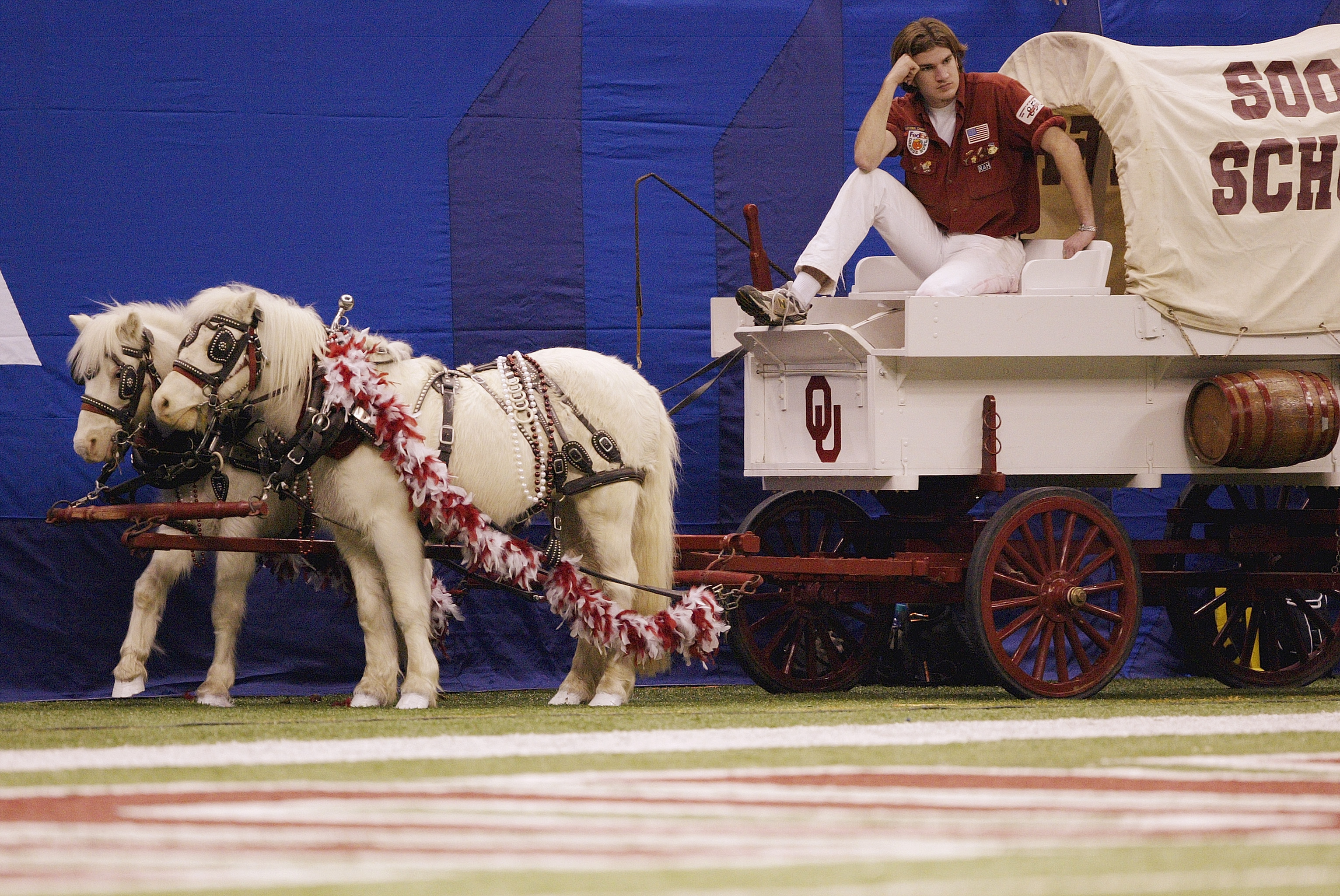 NEW ORLEANS - JANUARY 4:  The Sooner Schooner, powered by matching white ponies named Boomer and Sooner, on the sideline during the Nokia Sugar Bowl National Championship between the Oklahoma Sooners and the Louisiana State Tigers on January 4, 2004 at th