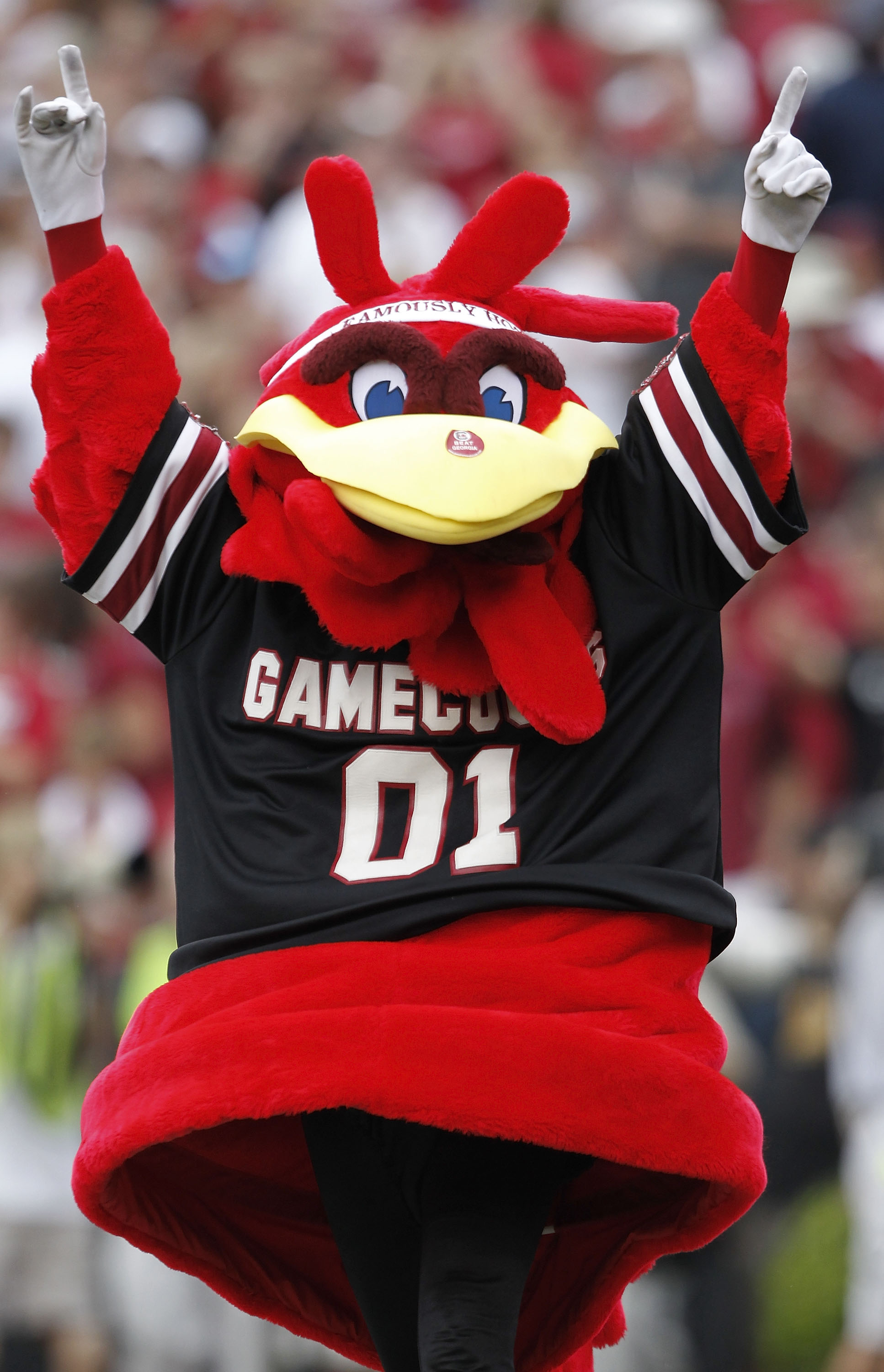 College Football Mascots: Queer Cheers for the Straight Guys
