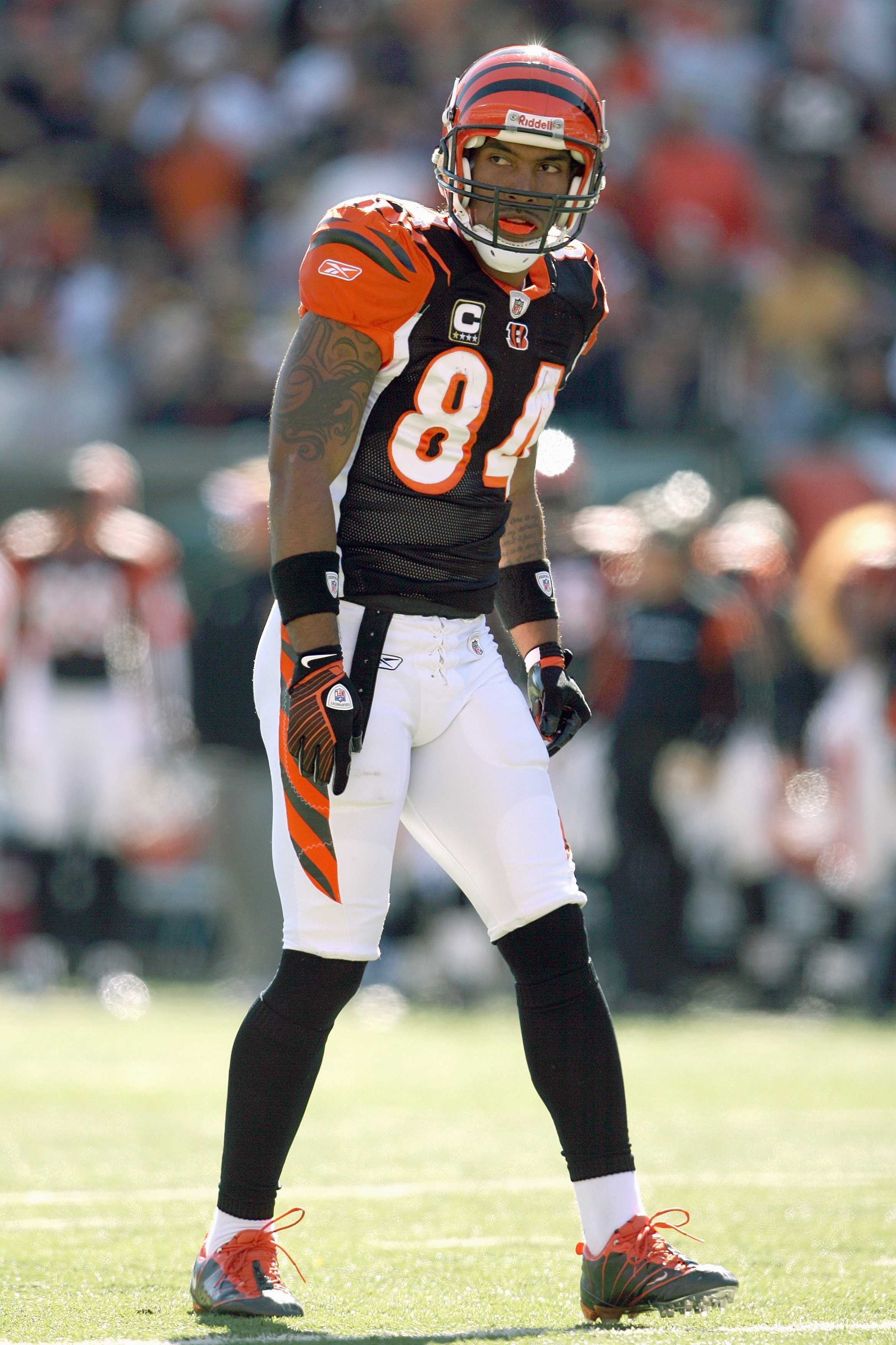 cincinnati bengals tj houshmandzadeh