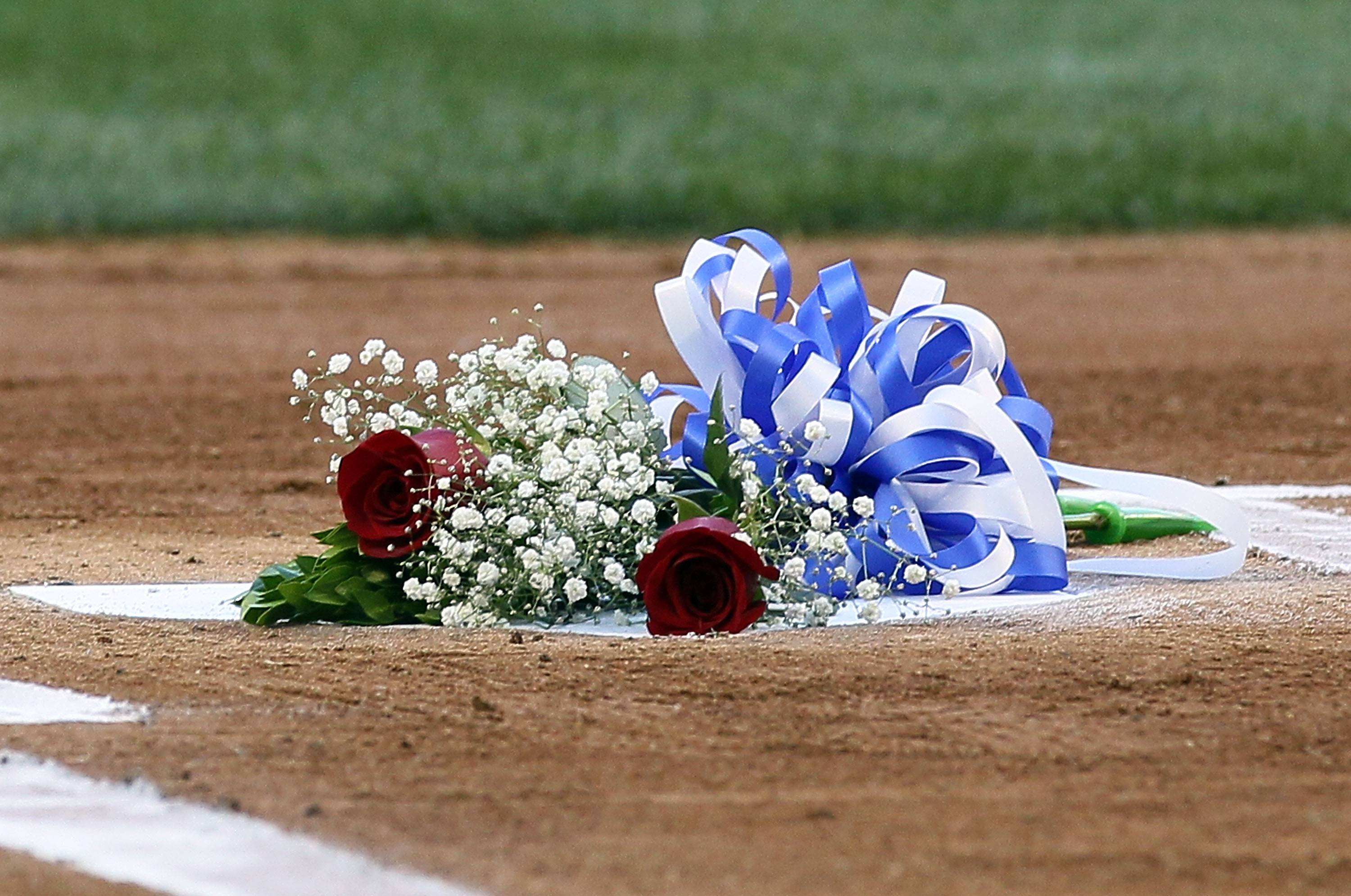 NEW YORK - JULY 16:  Two roses honoring the late owner George Steinbrenner of the New York Yankees and Yankee Stadium public address announcer Bob Sheppard are seen on home plate prior to the game against the Tampa Bay Rays on July 16, 2010 at Yankee Stad