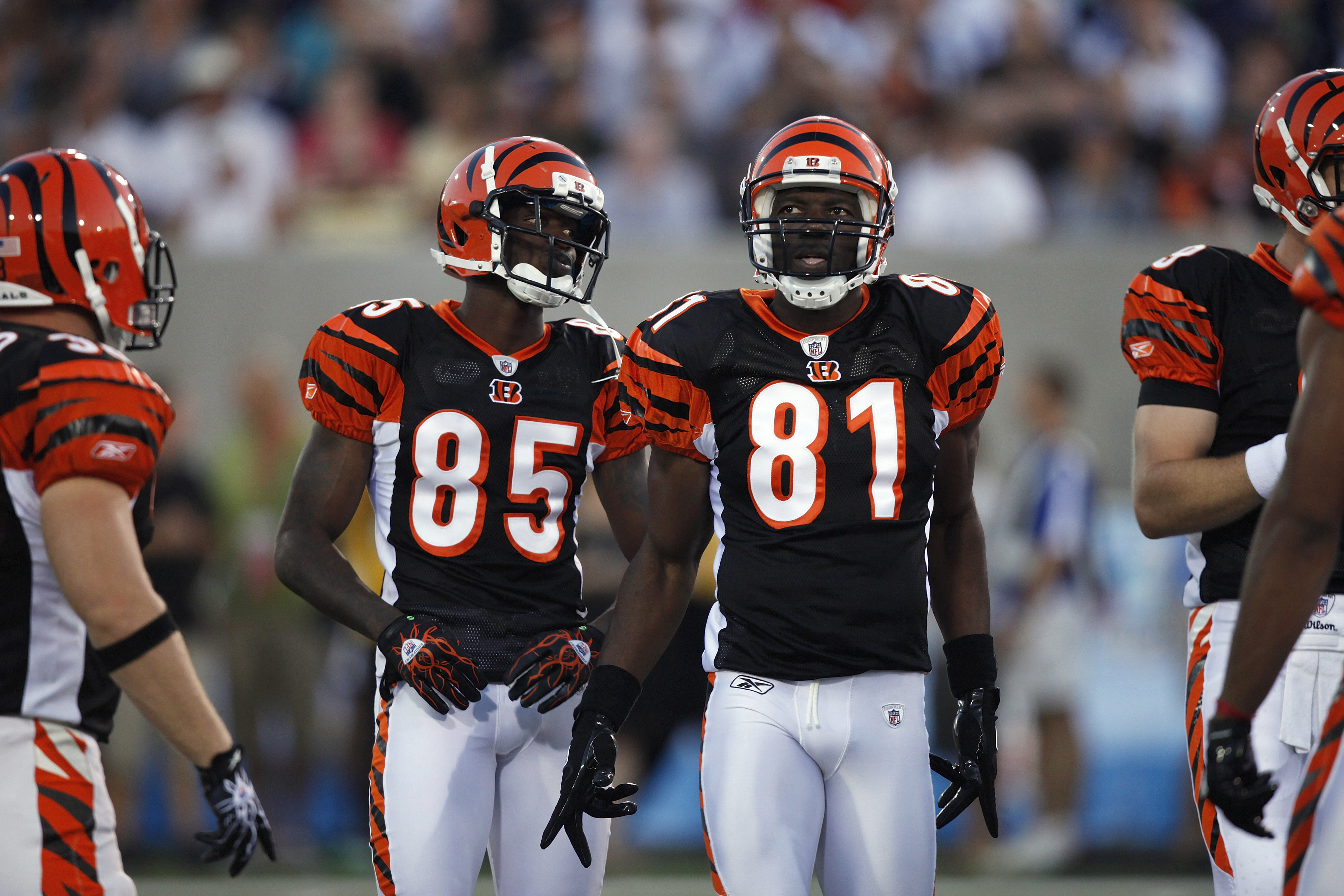 CANTON, OH - AUGUST 8: Terrell Owens #81 and Chad Ochocinco #85 of the Cincinnati Bengals look on against the Dallas Cowboys during the 2010 Pro Football Hall of Fame Game at the Pro Football Hall of Fame Field at Fawcett Stadium on August 8, 2010 in Cant