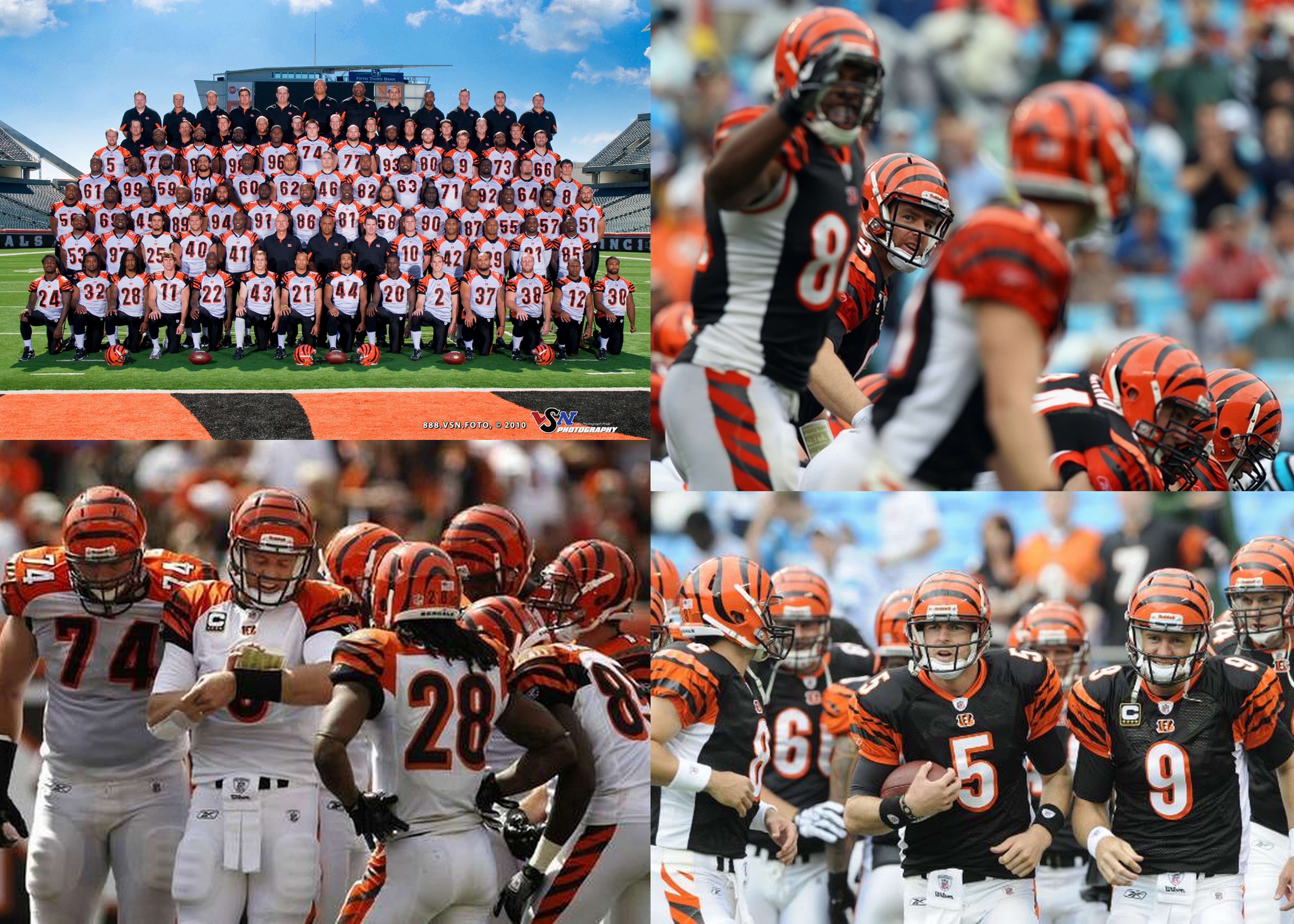 History lesson: The Cincinnati Bengals – the AFL's Cleveland Browns - Big  Blue View