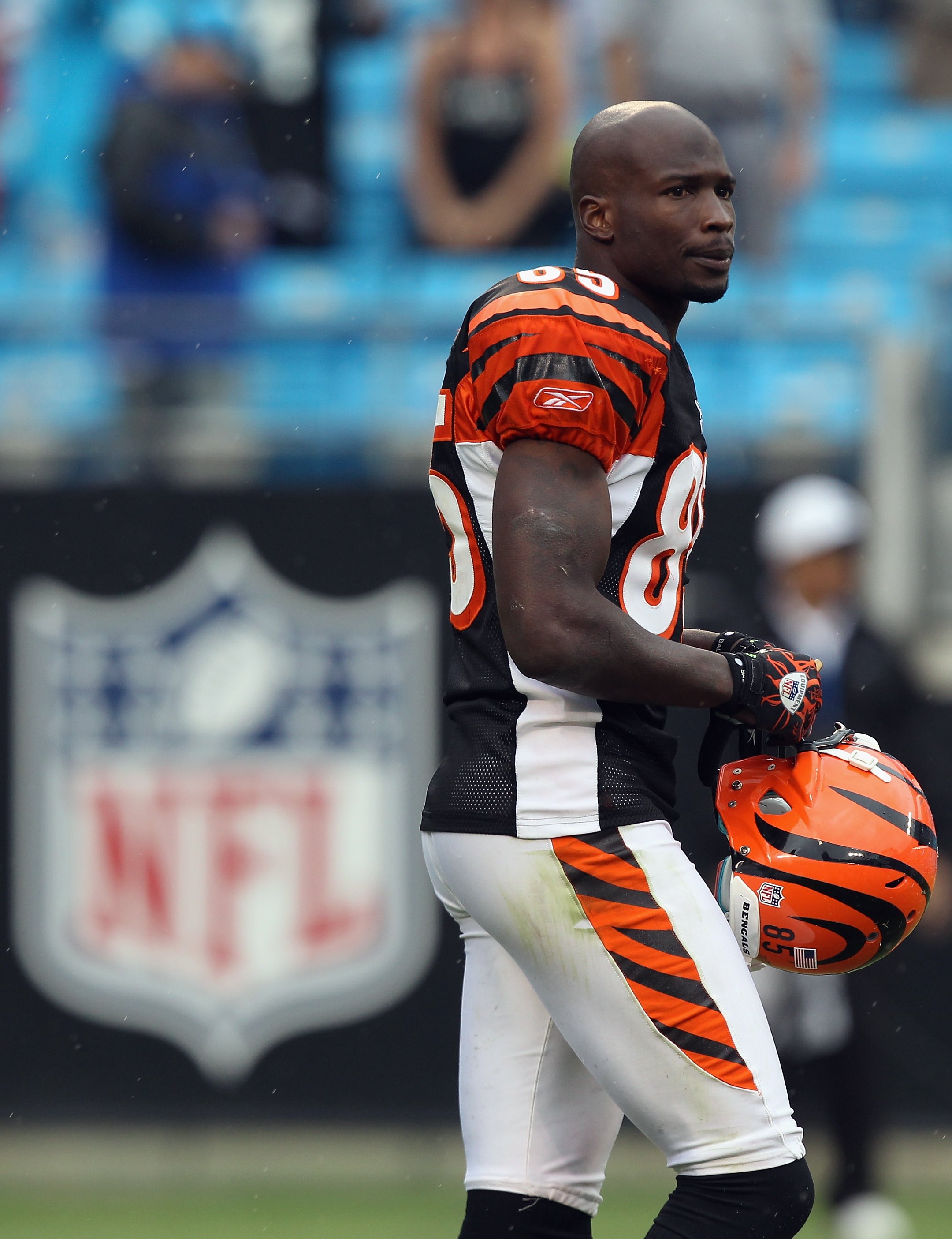 Cincinnati Bengals: Can Terrell Owens Repeat His Week 4 Performance In Week  5?, News, Scores, Highlights, Stats, and Rumors