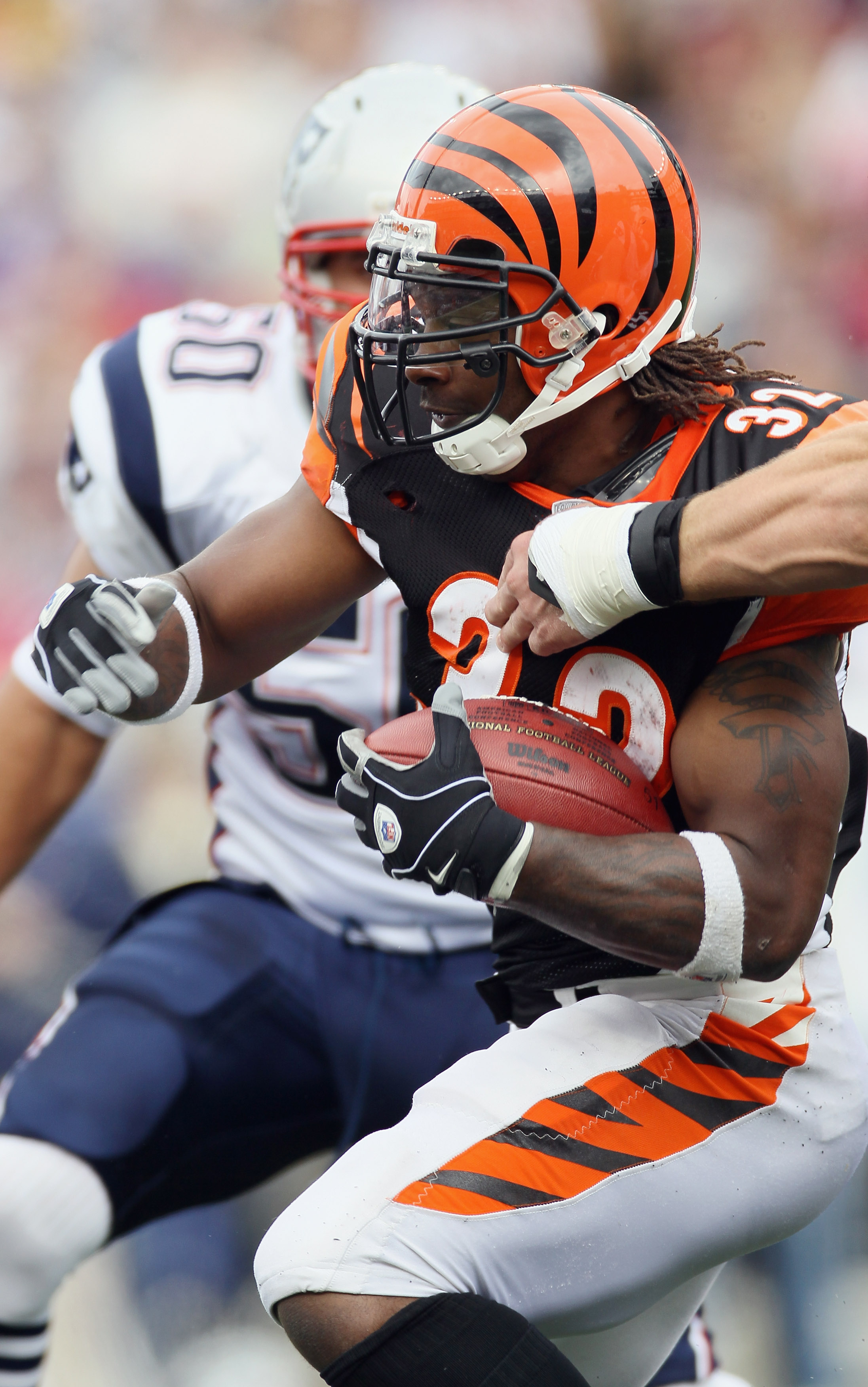 Cinicnnati Bengals: 10 Reasons Why The Bengals Will Beat The Buccaneers ...