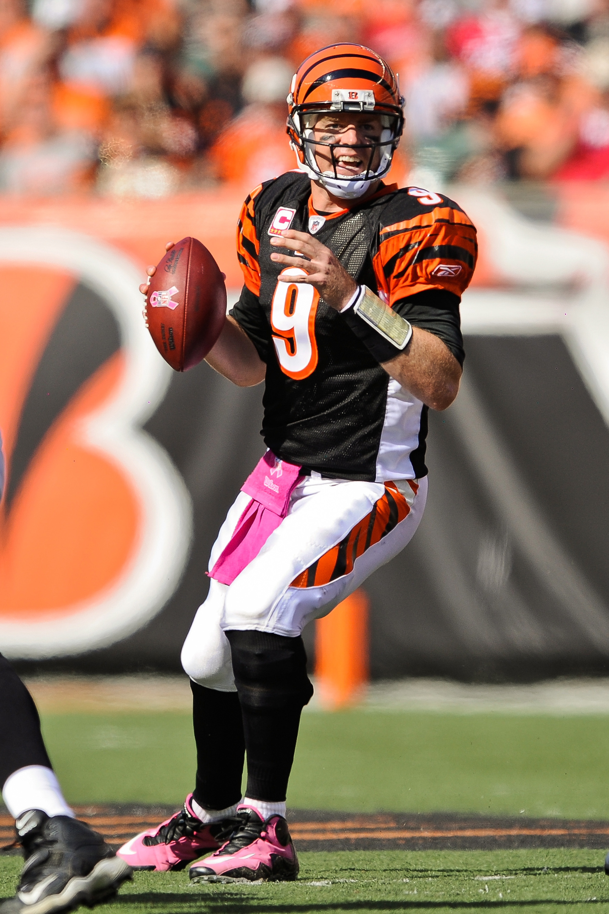 Cincinnati Bengals QB Jordan Palmer Doubts Ochocinco and TO Will Be Back in  2011 - Cincy Jungle