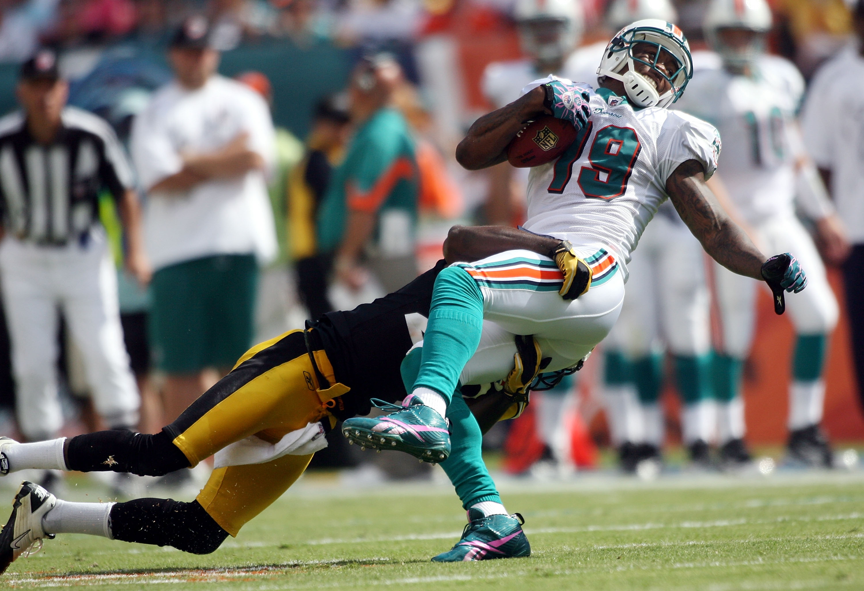 Miami Dolphins wide receiver Brandon Marshall (19) is congratulated by wide  receiver Davone Bess (15) following a reception by Marshall in the second  half of an NFL football game against the Dallas